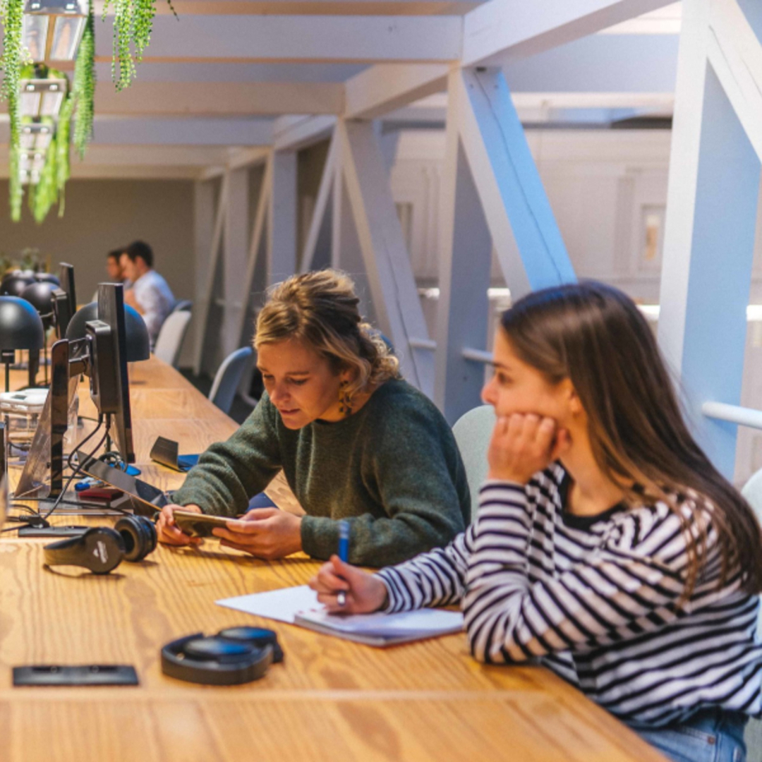 Back-in diensten voor duurzame inzetbaarheid